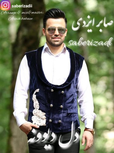 Saber Izadi  –   Del e Divoone